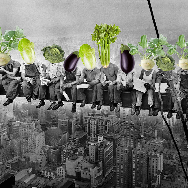 MARDI ENTREPRISE
