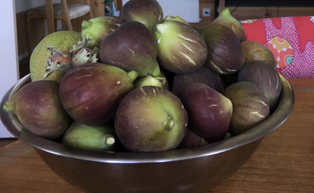 figues