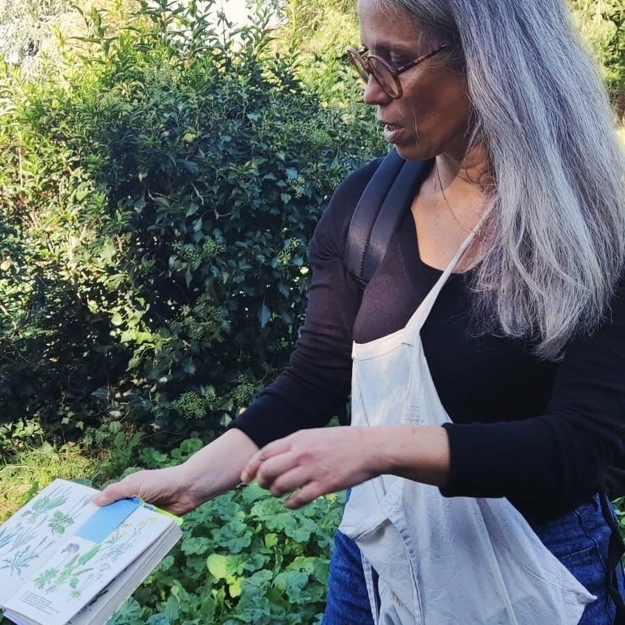 Sortie à la découverte des plantes sauvages comestibles sur au bord de la Boivre